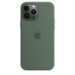 Husa de protectie Apple cu MagSafe pentru iPhone 13 Pro Max, Silicon - Culoare Eucalyptus - mag-genius-accesorii