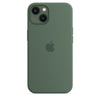 Husa de protectie Apple cu MagSafe pentru iPhone 13 Mini, Silicon - Culoare Eucalyptus - mag-genius-accesorii