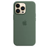 Husa de protectie Apple cu MagSafe pentru iPhone 13 Pro, Silicon - Culoare Eucalyptus - mag-genius-accesorii